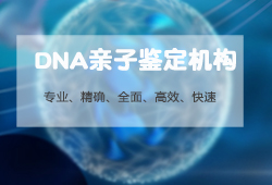 常德亲子鉴定机构需要什么手续,常德亲子鉴定机构地址电话 常德亲子鉴定机构需要什么手续,常德亲子鉴定机构地址电话
