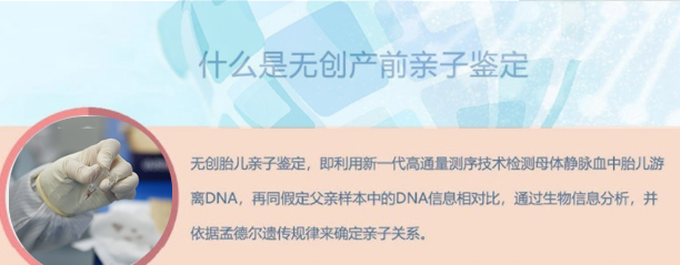 常德孕期亲子鉴定收费多少,常德怀孕亲子鉴定需要怎么办理