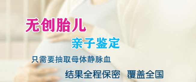 怀孕期间常德要如何办理孕期亲子鉴定,常德办理孕期亲子鉴定准确吗