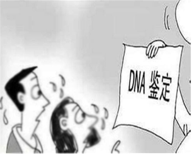 常德个人DNA亲子鉴定结果准不准确,